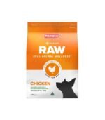 Hunger for Words Talking Pet Starter Set - Image 2